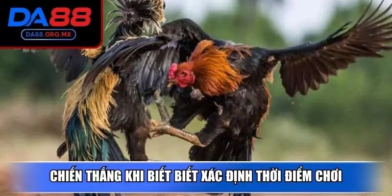Chiến thắng khi biết biết xác định thời điểm chơi