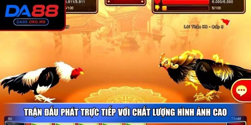 Trận đấu được phát trực tiếp với chất lượng hình ảnh cao