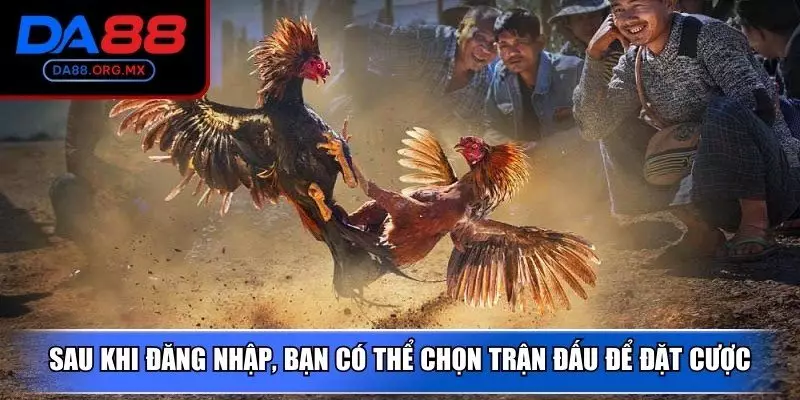Sau khi đăng nhập, bạn có thể chọn trận đấu để đặt cược